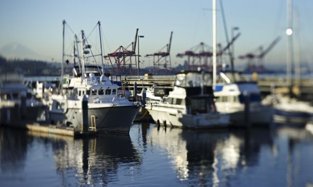 EXCLUSIVE: Kelly steps in to reduce gamefish slaughter